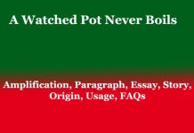 A Watched Pot Never Boils: Amplification, Paragraph, Essay, Story, Origin, Usage, FAQs A Watched Pot Never Boils