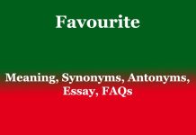 Favourite: Meaning, Synonyms, Antonyms, Essay, FAQs Favourite Meaning, Synonyms, Antonyms, Essay, FAQs