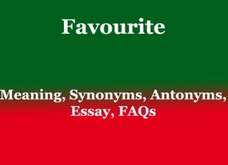 Favourite: Meaning, Synonyms, Antonyms, Essay, FAQs Favourite Meaning, Synonyms, Antonyms, Essay, FAQs