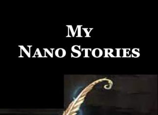 Nano Stories | My Nano Stories Nano Stories