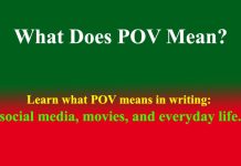 What Does POV Mean? What Does POV Mean