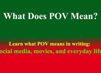 What Does POV Mean? What Does POV Mean