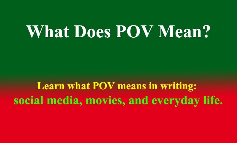 What Does POV Mean? 1 What Does POV Mean