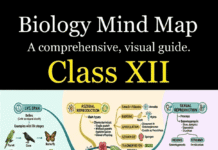 Biology Concept Summary Class 12 Biology Concept Summary Class 12