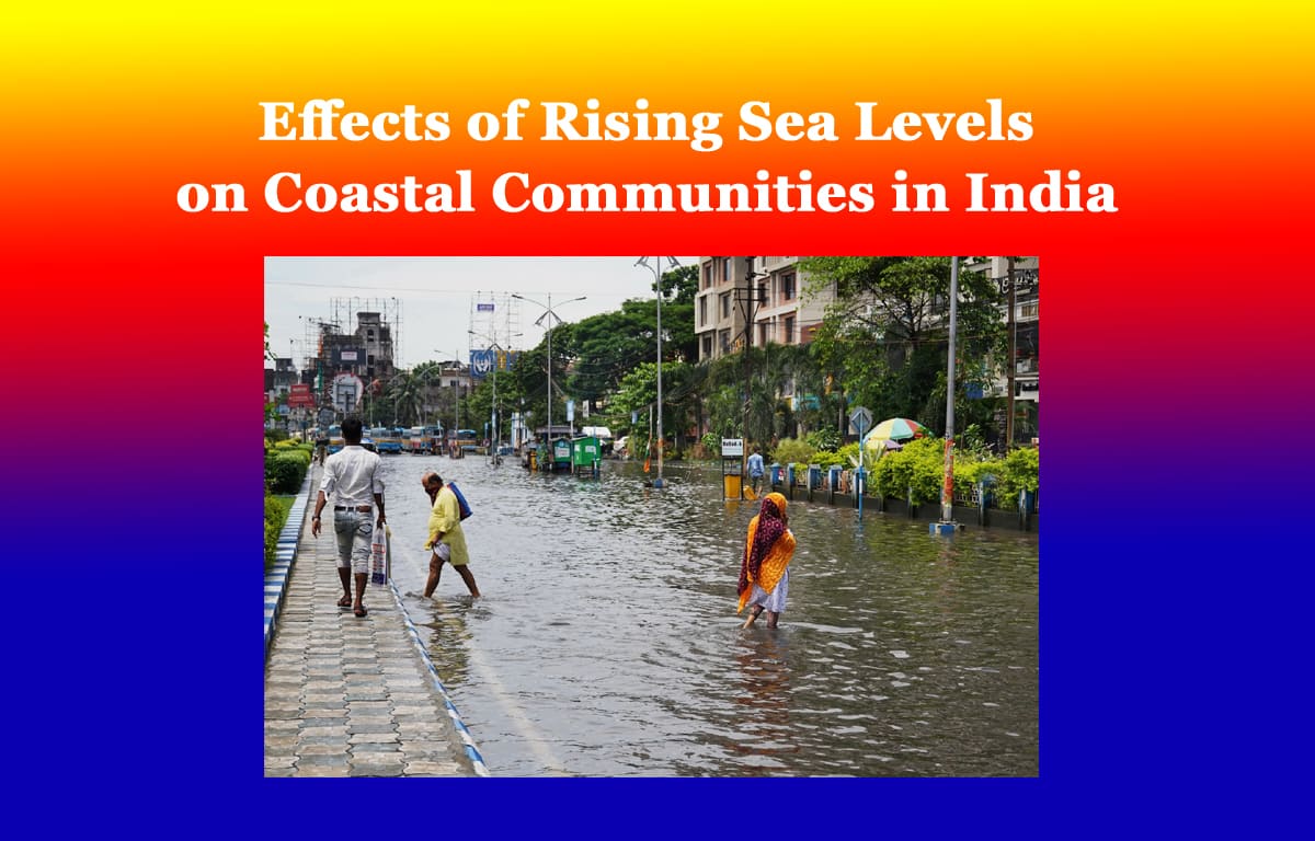 Effects of Rising Sea Levels on Coastal Communities in India Essay 1 Effects of Rising Sea Levels on Coastal Communities in India Essay