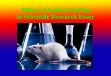 Ethics of Animal Testing in Scientific Research Essay Ethics of Animal Testing in Scientific Research Essay