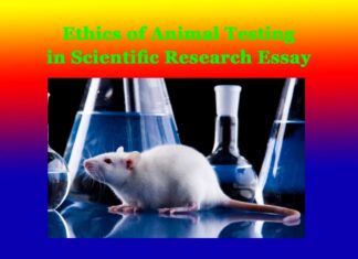 Ethics of Animal Testing in Scientific Research Essay Ethics of Animal Testing in Scientific Research Essay