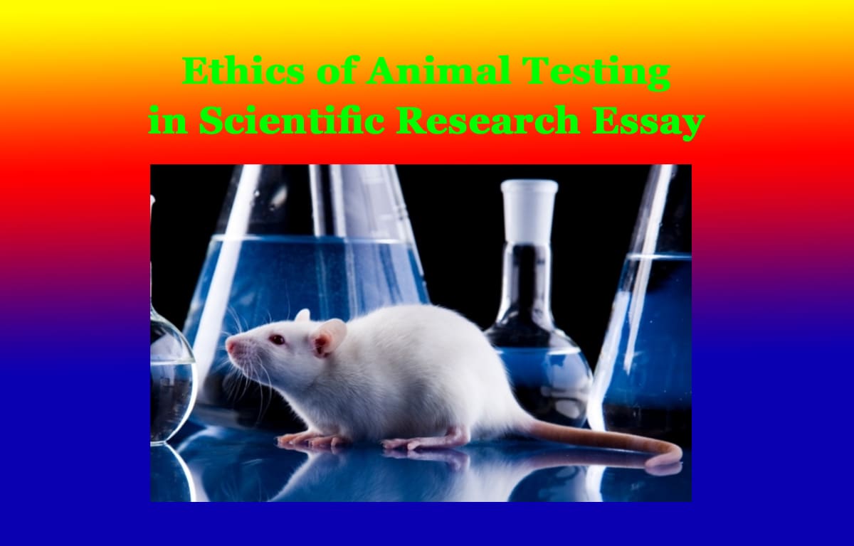 Ethics of Animal Testing in Scientific Research Essay 1 Ethics of Animal Testing in Scientific Research Essay