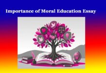 Importance of Moral Education Essay Importance of Moral Education Essay