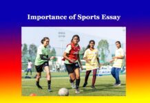 Importance of Sports Essay Importance of Sports Essay