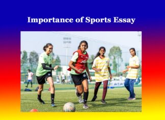 Importance of Sports Essay Importance of Sports Essay
