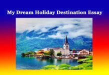 My Dream Holiday Destination Essay My Dream Holiday Destination Essay