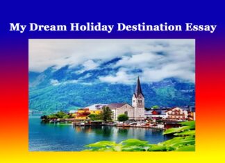 My Dream Holiday Destination Essay My Dream Holiday Destination Essay