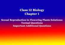 Class 12 Biology Chapter 1 Sexual Reproduction in Flowering Plants Solutions Class 12 Biology Chapter 1 Sexual Reproduction in Flowering Plants Solutions
