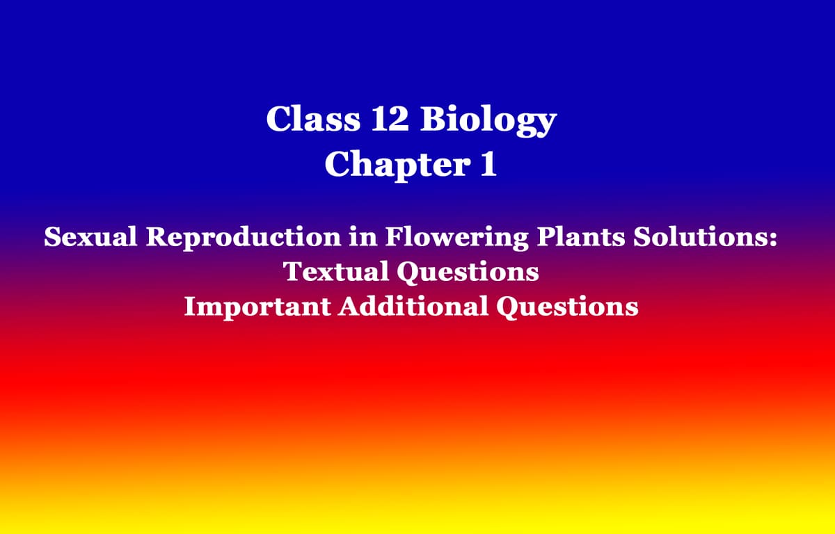 Class 12 Biology Chapter 1 Sexual Reproduction in Flowering Plants Solutions 1 Class 12 Biology Chapter 1 Sexual Reproduction in Flowering Plants Solutions