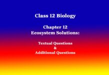 Class 12 Biology Chapter 12 Ecosystem Solutions Class 12 Biology Chapter 12 Ecosystem Solutions