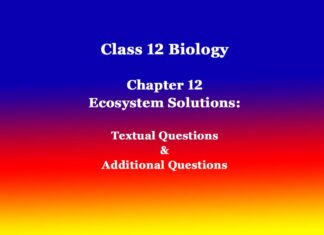 Class 12 Biology Chapter 12 Ecosystem Solutions Class 12 Biology Chapter 12 Ecosystem Solutions