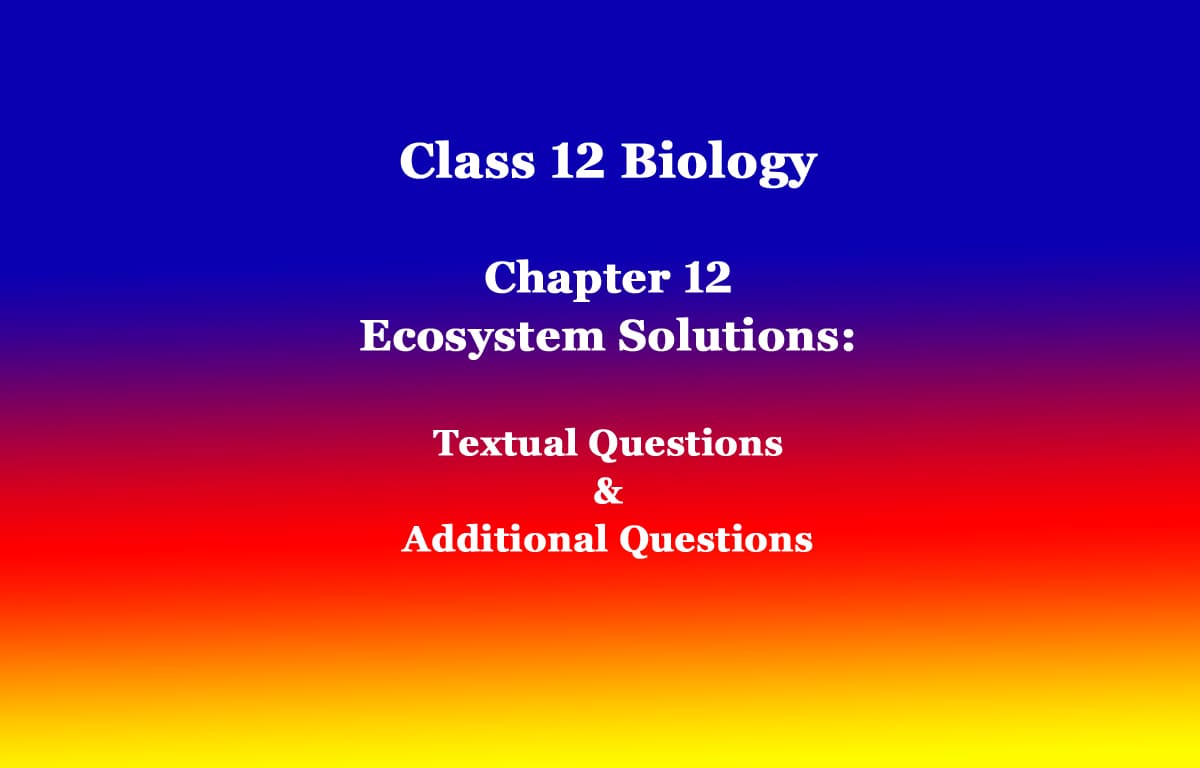 Class 12 Biology Chapter 12 Ecosystem Solutions 1 Class 12 Biology Chapter 12 Ecosystem Solutions