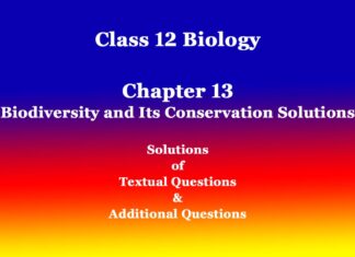 Class 12 Biology Chapter 13 Biodiversity and Its Conservation Solutions Class 12 Biology Chapter 13 Biodiversity and Its Conservation Solutions