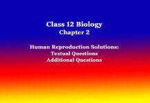 Class 12 Biology Chapter 2 Human Reproduction Solutions Class 12 Biology Chapter 2 Human Reproduction Solutions