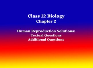 Class 12 Biology Chapter 2 Human Reproduction Solutions Class 12 Biology Chapter 2 Human Reproduction Solutions