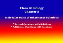 Class 12 Biology Chapter 5 Molecular Basis of Inheritance Solutions Class 12 Biology Chapter 5 Molecular Basis of Inheritance Solutions
