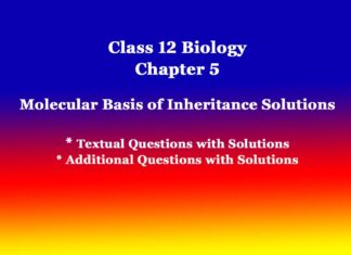 Class 12 Biology Chapter 5 Molecular Basis of Inheritance Solutions Class 12 Biology Chapter 5 Molecular Basis of Inheritance Solutions