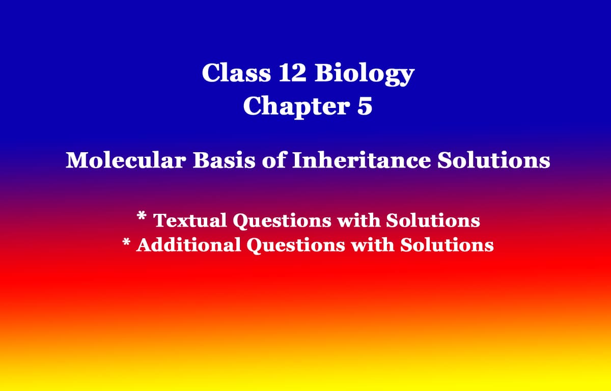 Class 12 Biology Chapter 5 Molecular Basis of Inheritance Solutions 1 Class 12 Biology Chapter 5 Molecular Basis of Inheritance Solutions
