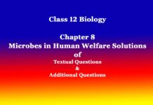 Class 12 Biology Chapter 8 Microbes in Human Welfare Solutions Class 12 Biology Chapter 8 Microbes in Human Welfare Solutions