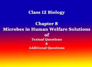 Class 12 Biology Chapter 8 Microbes in Human Welfare Solutions Class 12 Biology Chapter 8 Microbes in Human Welfare Solutions