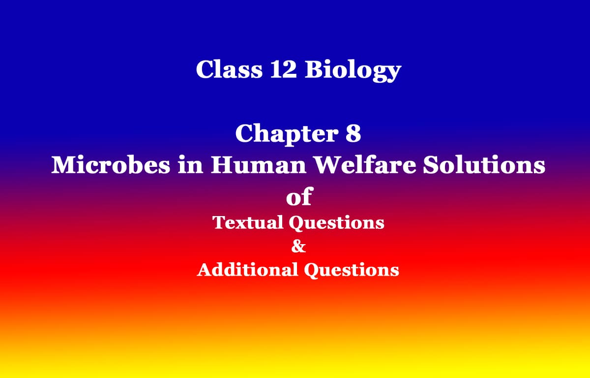 Class 12 Biology Chapter 8 Microbes in Human Welfare Solutions 1 Class 12 Biology Chapter 8 Microbes in Human Welfare Solutions