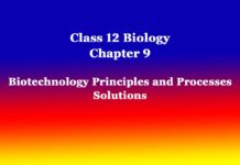 Class 12 Biology Chapter 9 Biotechnology Principles and Processes Solutions Class 12 Biology Chapter 9 Biotechnology Principles and Processes Solutions