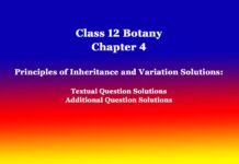 Class 12 Botany Chapter 4 Principles of Inheritance and Variation Solutions Class 12 Botany Chapter 4 Principles of Inheritance and Variation Solutions