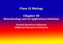 Class 12 Biology Chapter 10 Biotechnology and Its Applications Solutions