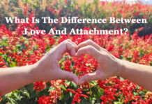 What Is The Difference Between Love And Attachment? What Is The Difference Between Love And Attachment