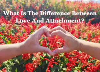 What Is The Difference Between Love And Attachment? What Is The Difference Between Love And Attachment