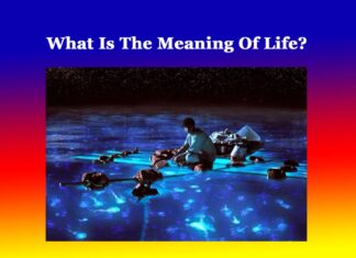What Is The Meaning Of Life? What Is The Meaning Of Life