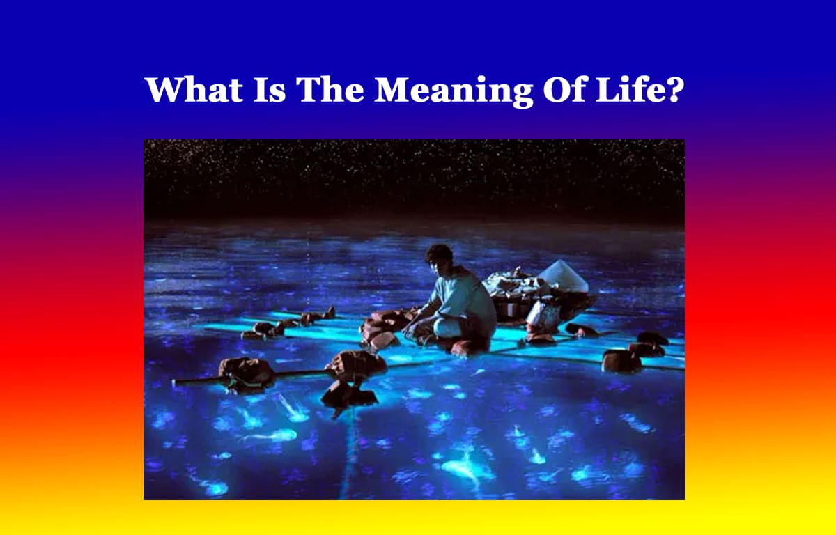 What Is The Meaning Of Life? 1 What Is The Meaning Of Life