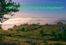 Why Do Human Beings Seek Happiness? Why Do Human Beings Seek Happiness