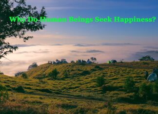 Why Do Human Beings Seek Happiness? Why Do Human Beings Seek Happiness